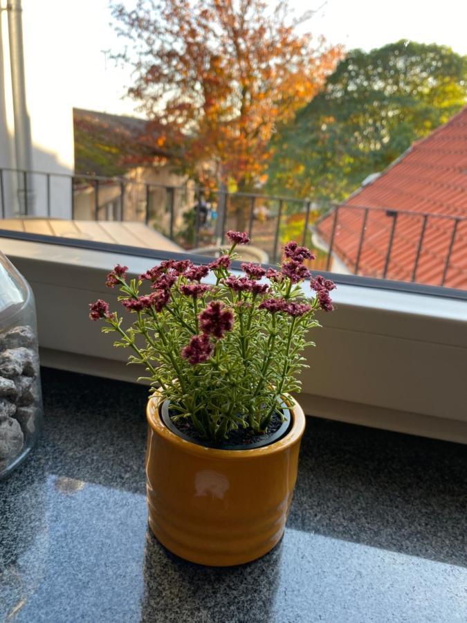 Uetze Gasthaus Zur Post מראה חיצוני תמונה